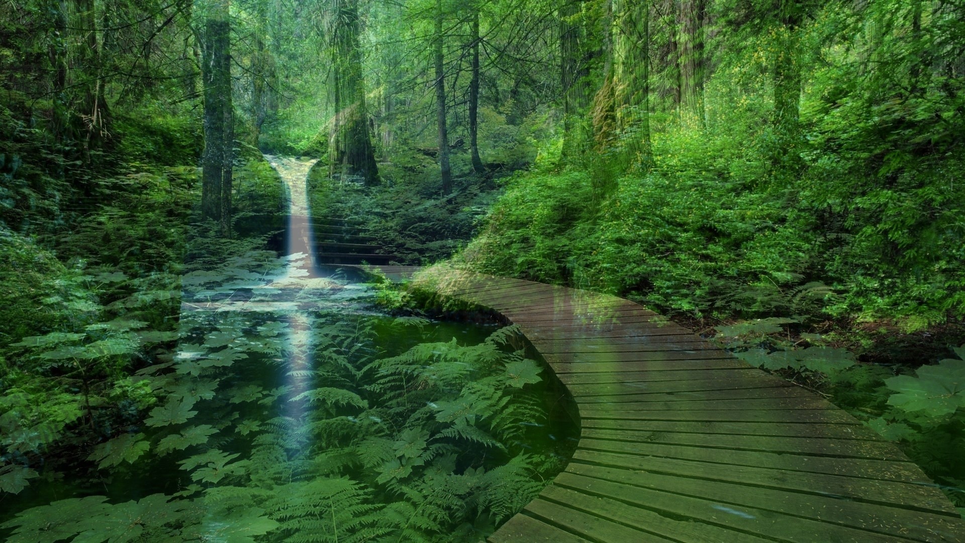 fondo de pantalla pacífico,paisaje natural,naturaleza,cuerpo de agua,bosque,bosque de crecimiento antiguo
