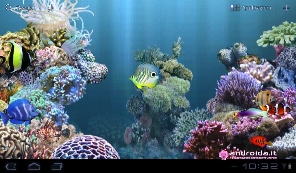 벽지 수족관,암초,산호초,물고기,해양 생물학,산호초 물고기