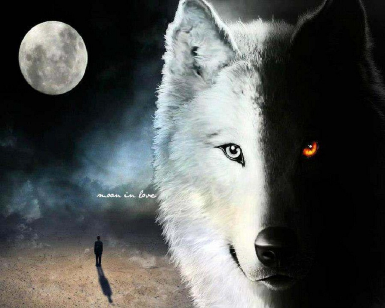 루포 벽지,달,늑대,자연,큰 개자리 루푸스 툰드라 룸,보름달