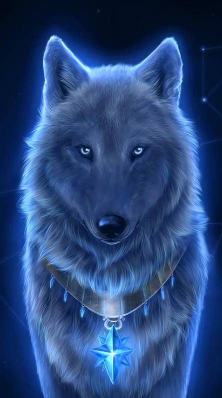 fondo de pantalla de lupo,azul,ligero,perro,lobo,hocico