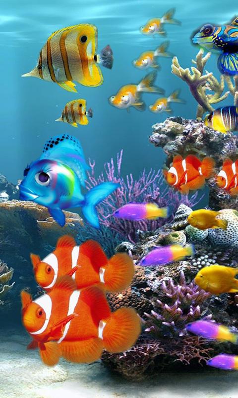 벽지 수족관,물고기,해양 생물학,물고기,포맥 심장과,산호초 물고기
