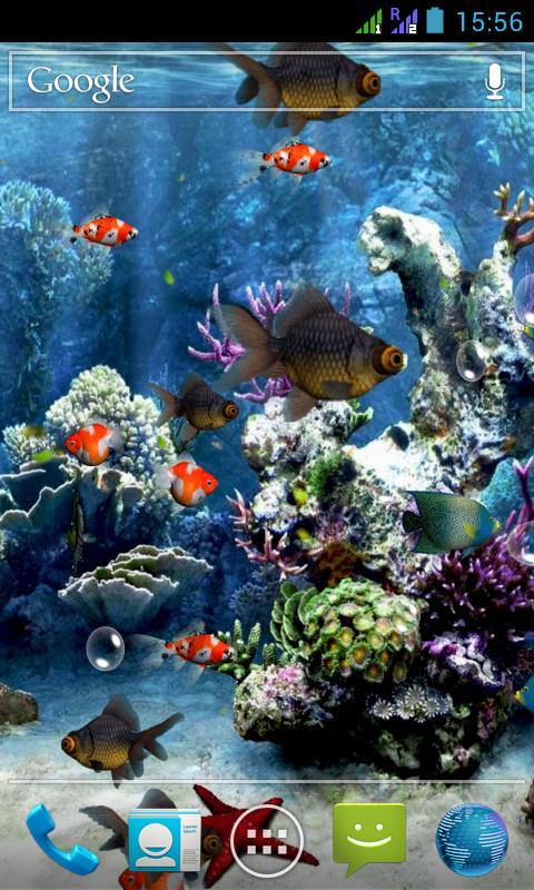 벽지 수족관,암초,해양 생물학,물고기,물고기,산호초