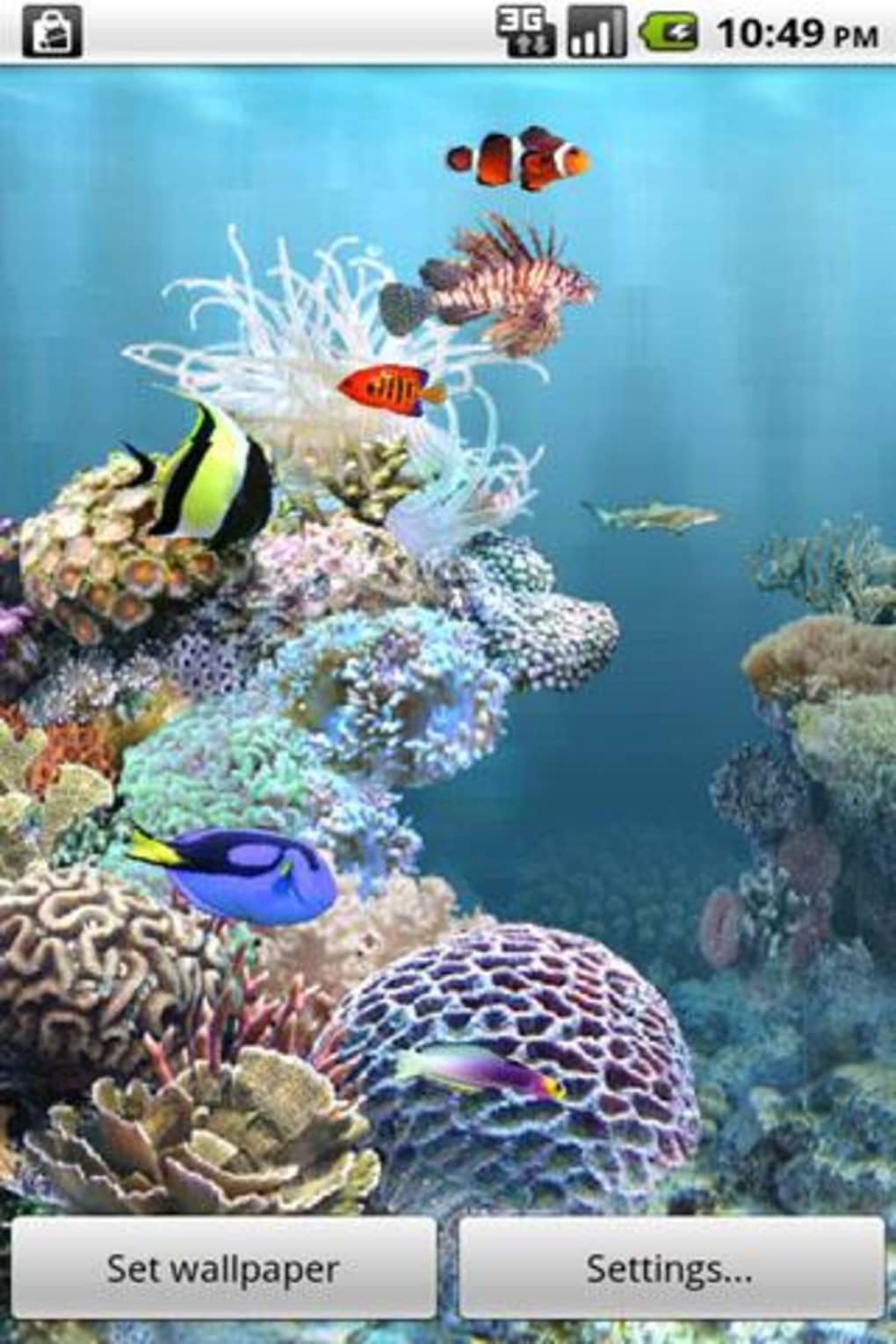 wallpaper aquario,coral reef,reef,stony coral,marine biology,natural environment