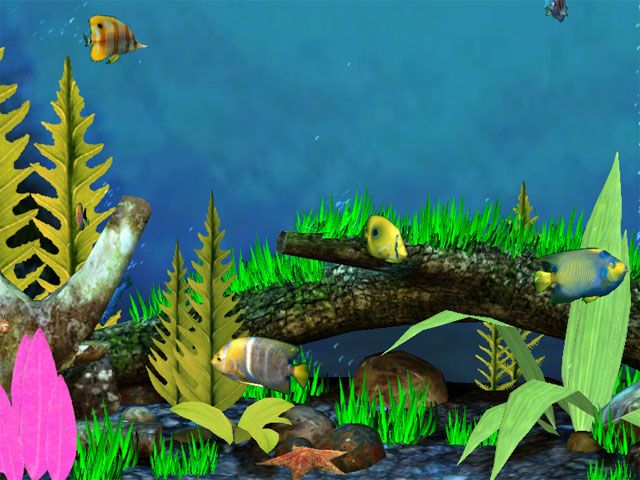 fondo de pantalla aquario,biología marina,pez,pez,planta acuática,submarino