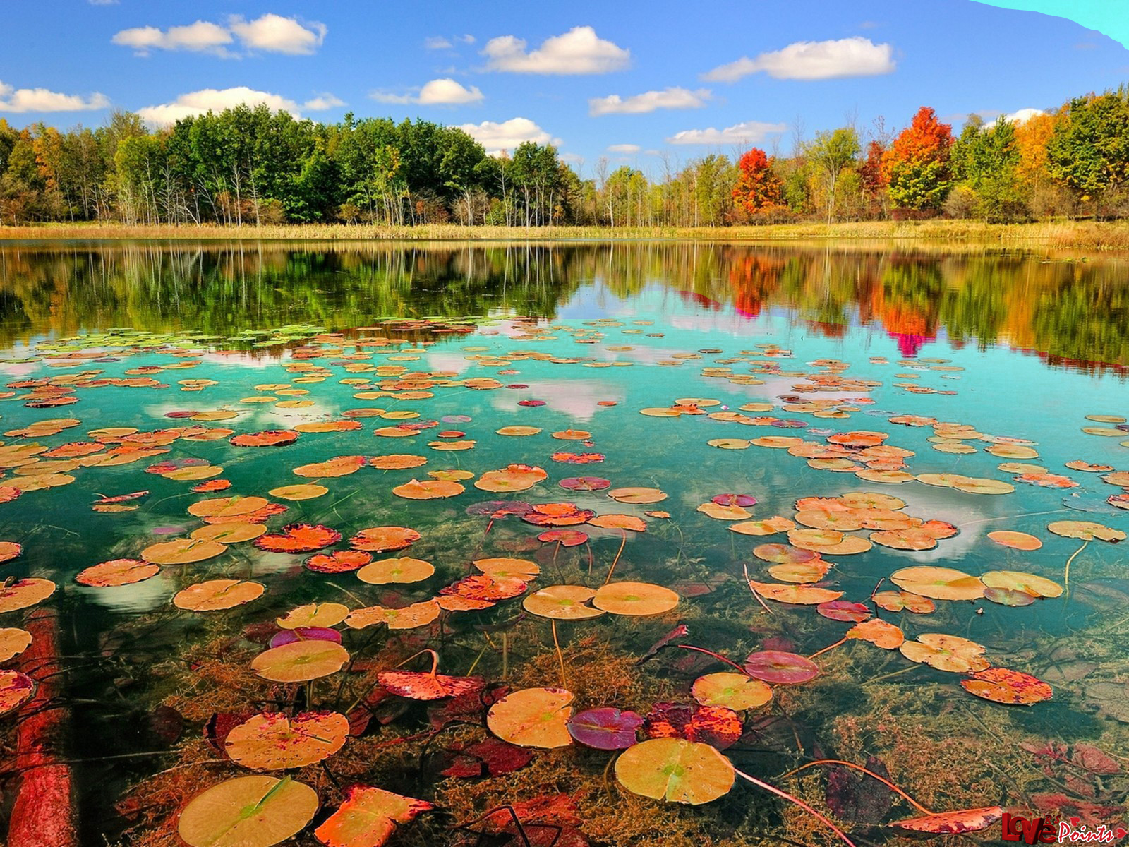 wallpaper nature 1600x1200,natural landscape,nature,sky,water,reflection