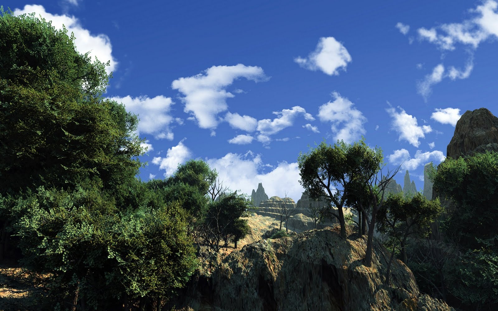 壁紙自然1600x1200,自然の風景,空,自然,雲,木