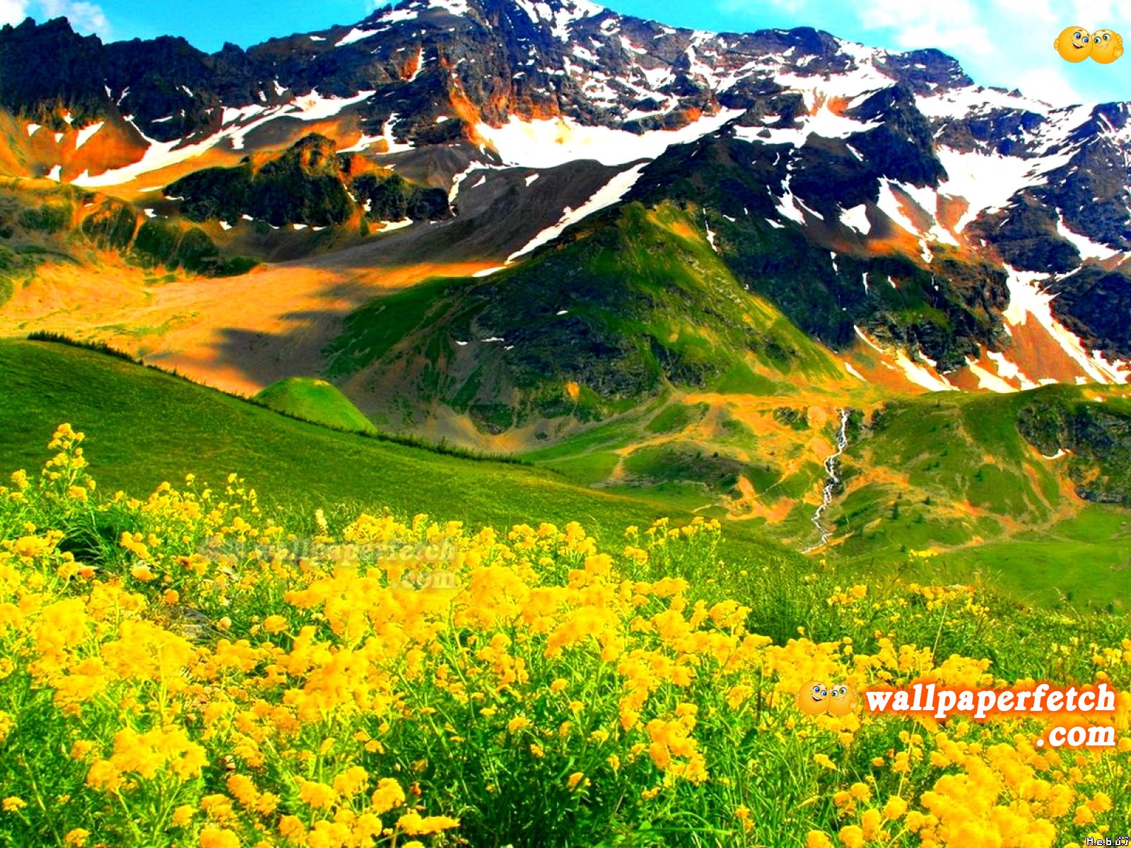 fond d'écran nature 1600x1200,paysage naturel,la nature,montagne,prairie,fleurs sauvages