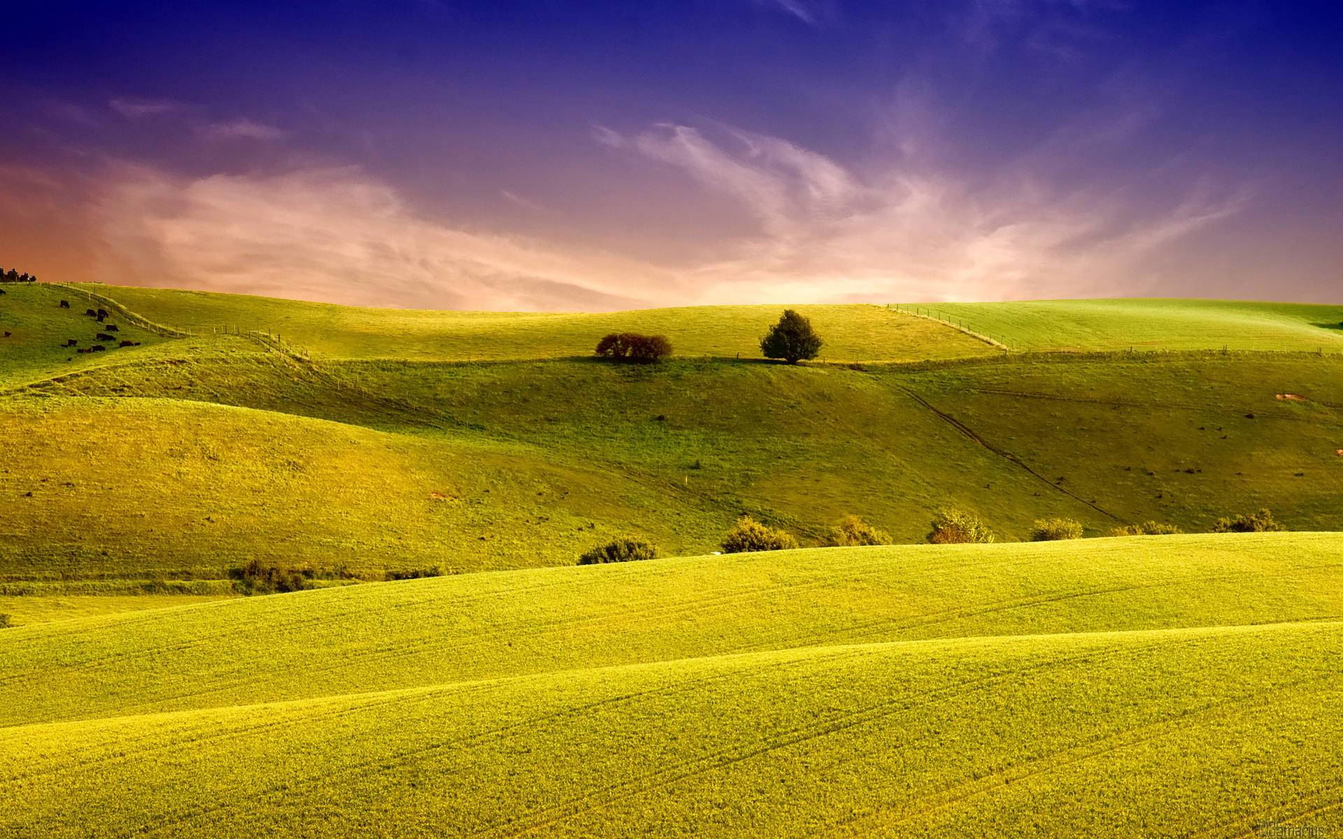 wallpaper nature 1600x1200,grassland,nature,sky,green,natural landscape