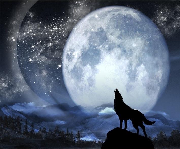 lupo wallpaper,moon,moonlight,full moon,nature,sky