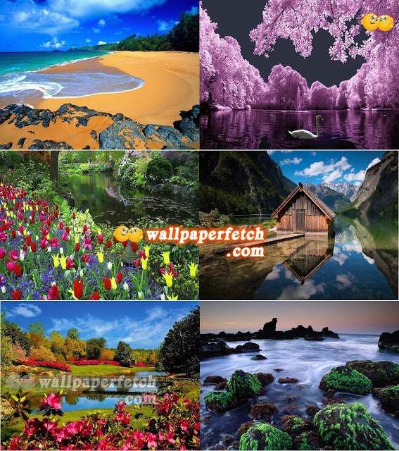 壁紙自然1600x10 自然の風景 自然 風景 コラージュ 野草 Wallpaperuse