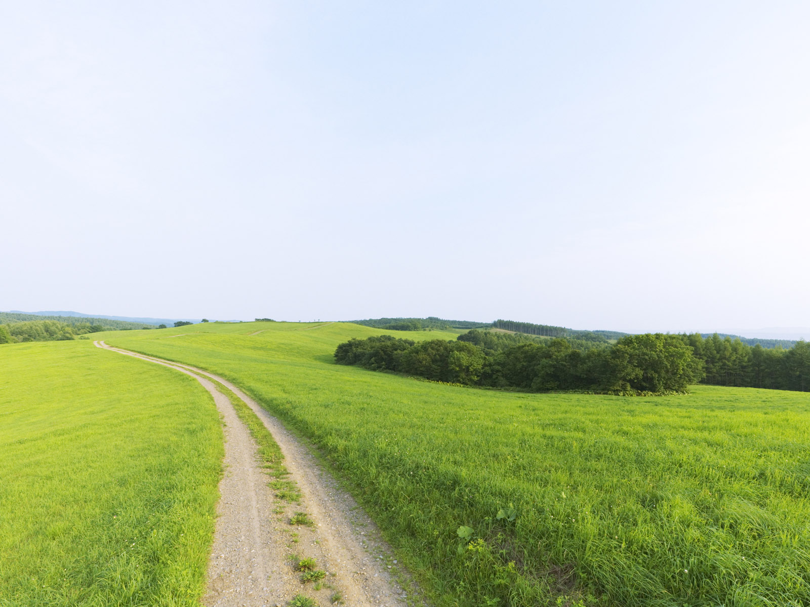 wallpaper nature 1600x1200,grassland,green,natural landscape,field,nature