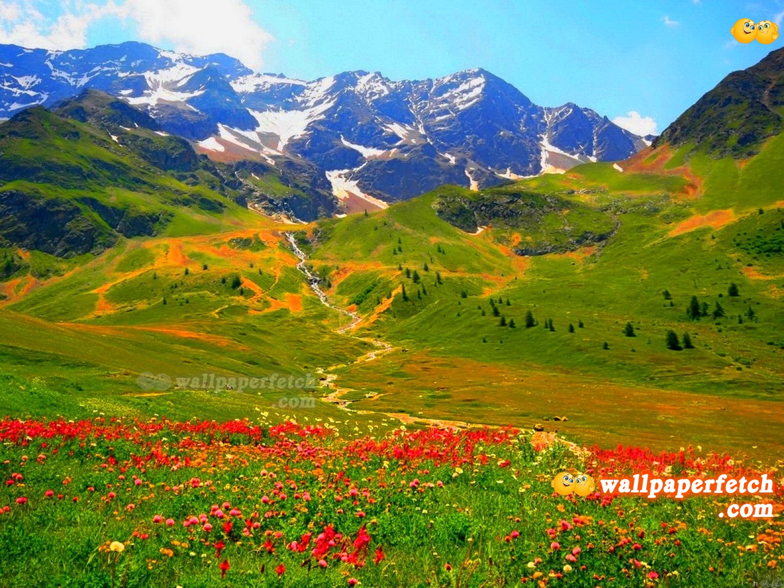 tapete natur 1600x1200,natürliche landschaft,natur,berg,wiese,wiese