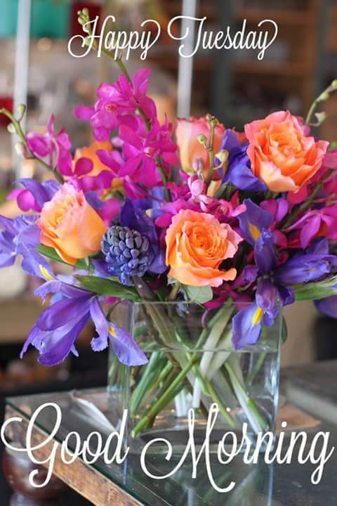 굴랩 카 풀 벽지 hd,꽃,꽃꽂이,꽃을 자르다,플로리스트 리,보라색