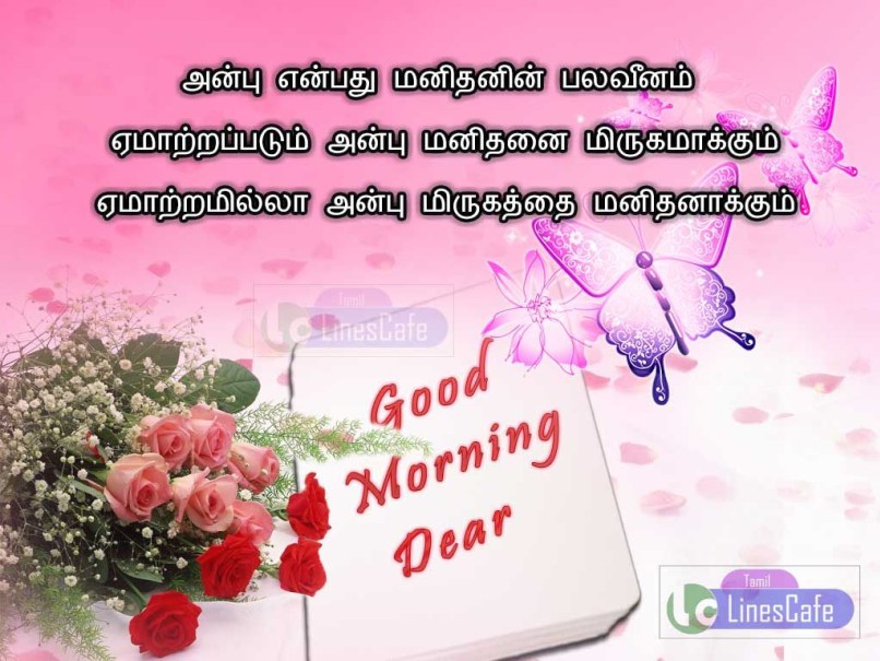 gd mng wallpaper,text,pink,font,friendship,greeting card
