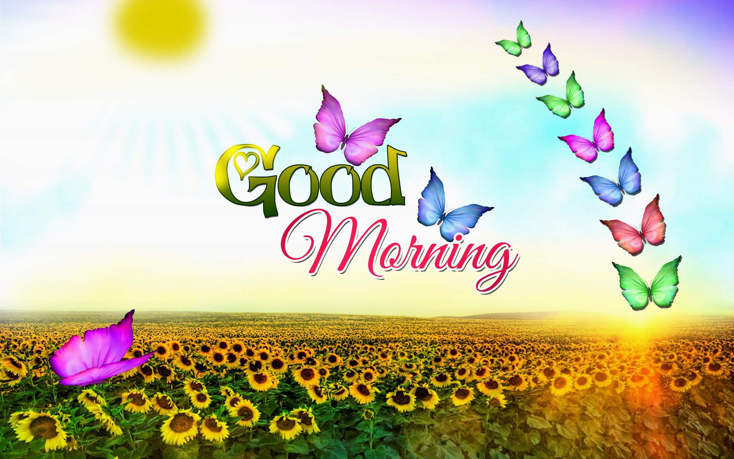 gd mng wallpaper,font,morning,spring,plant,flower