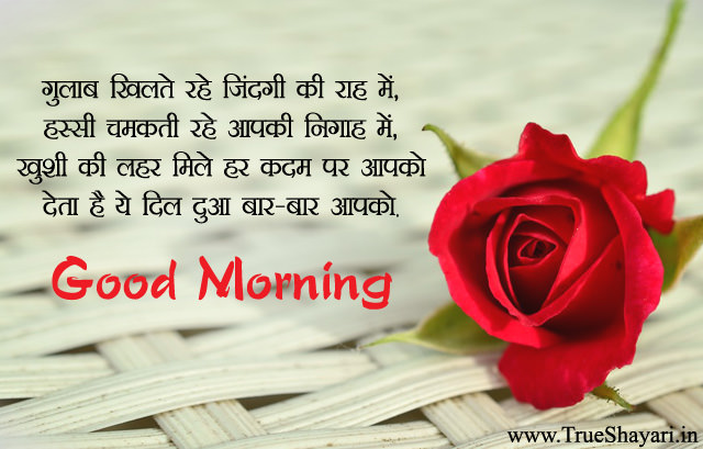 gd mng wallpaper,text,garden roses,rose,petal,flower