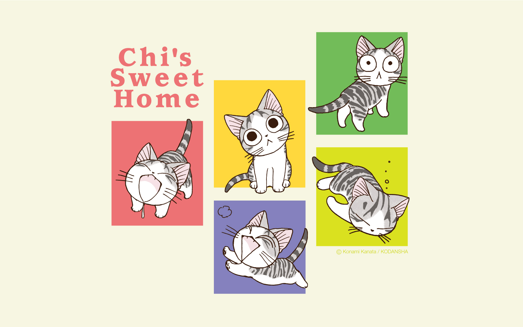 chis sweet home fond d'écran,texte,dessin animé,chat,illustration,ligne