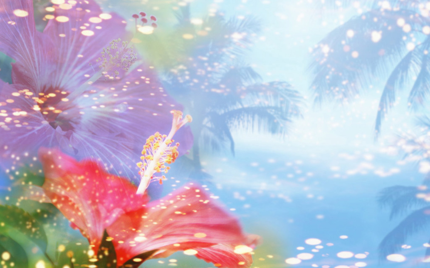 fondo de pantalla de ni as,cielo,ligero,rosado,hoja,flor