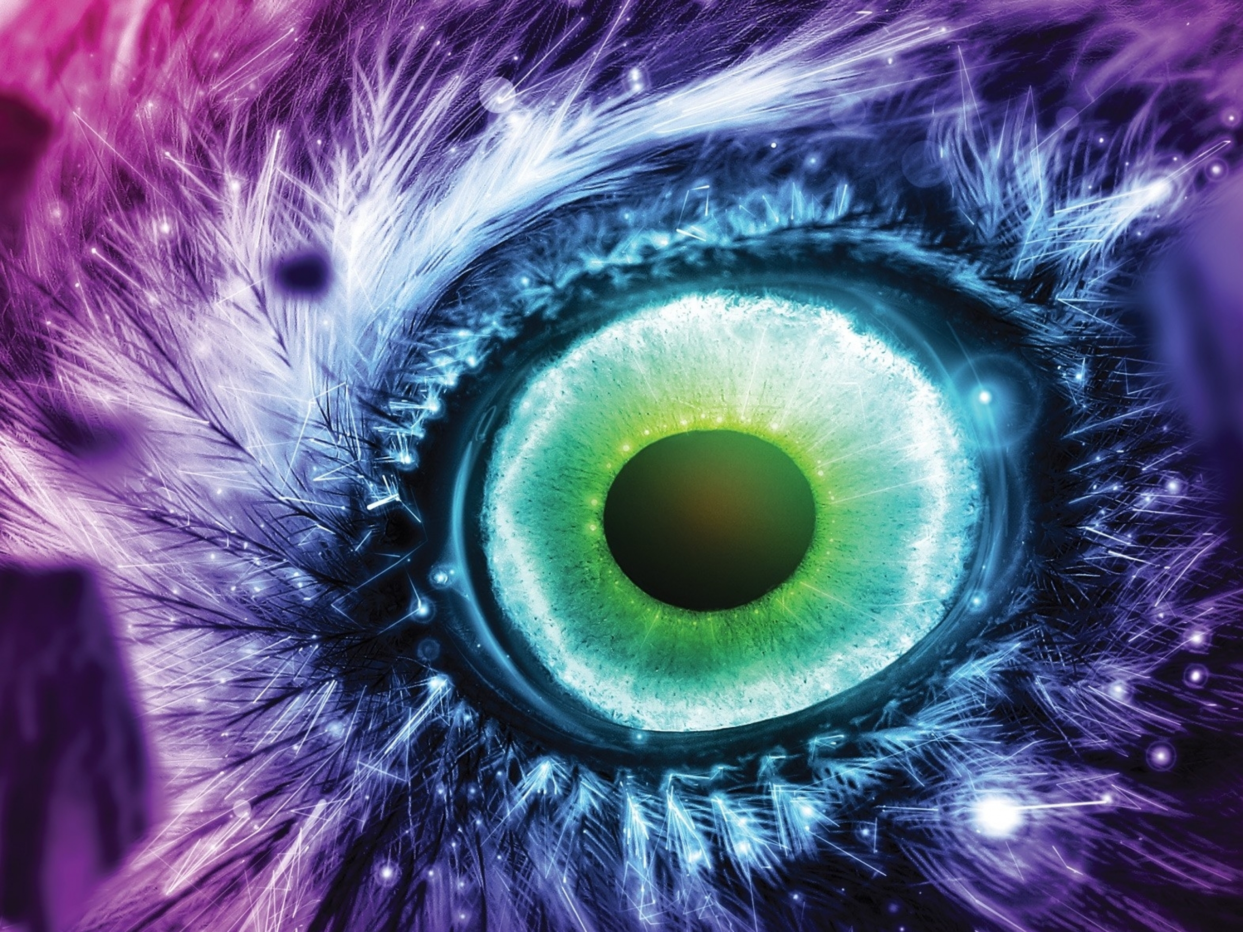wallpaper eletronica,iris,eye,close up,violet,purple