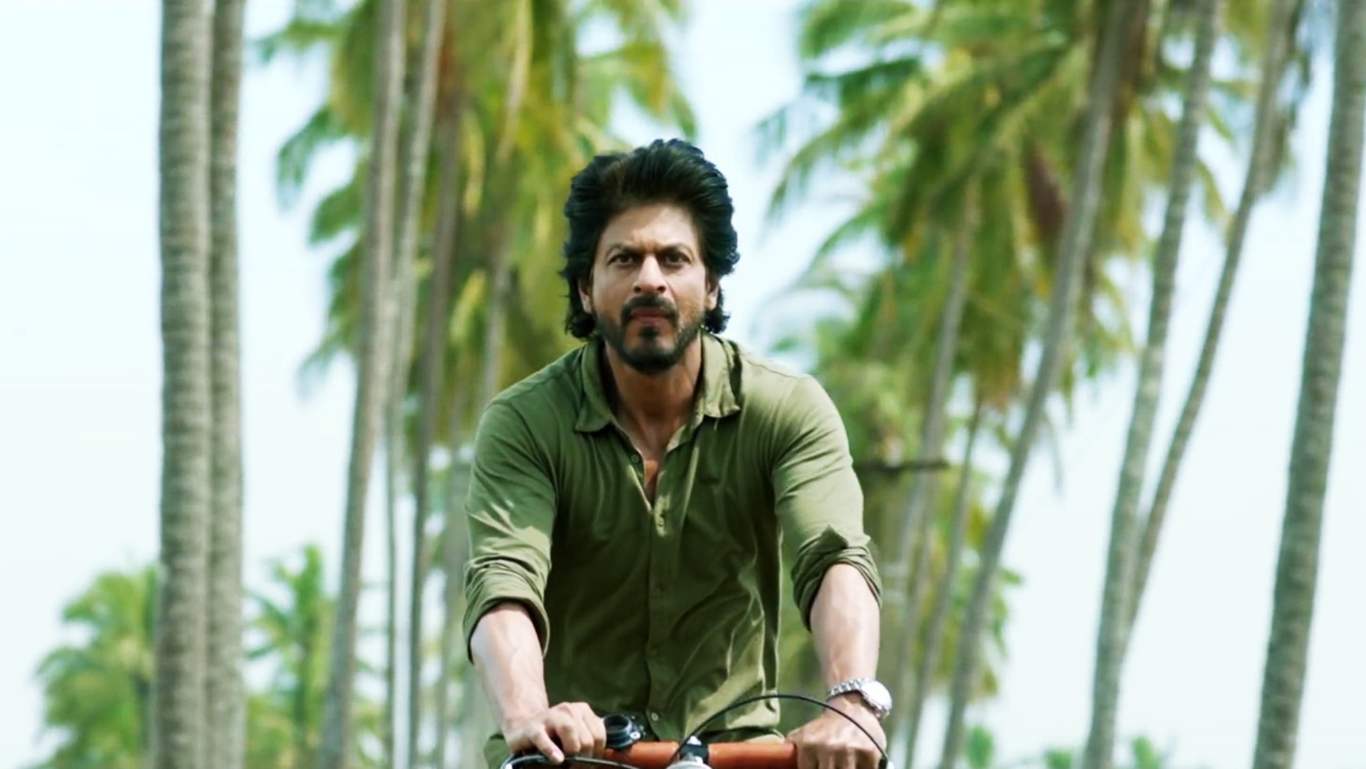 dear zindagi wallpaper,plant,musician