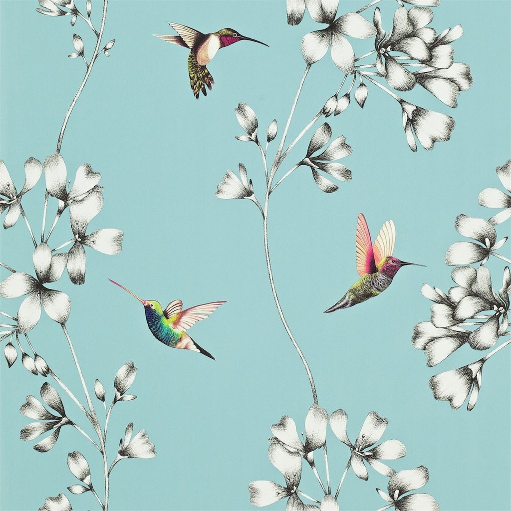 carta da parati amazzilia,colibrì,uccello,colibrì gola rubino,sfondo,pianta