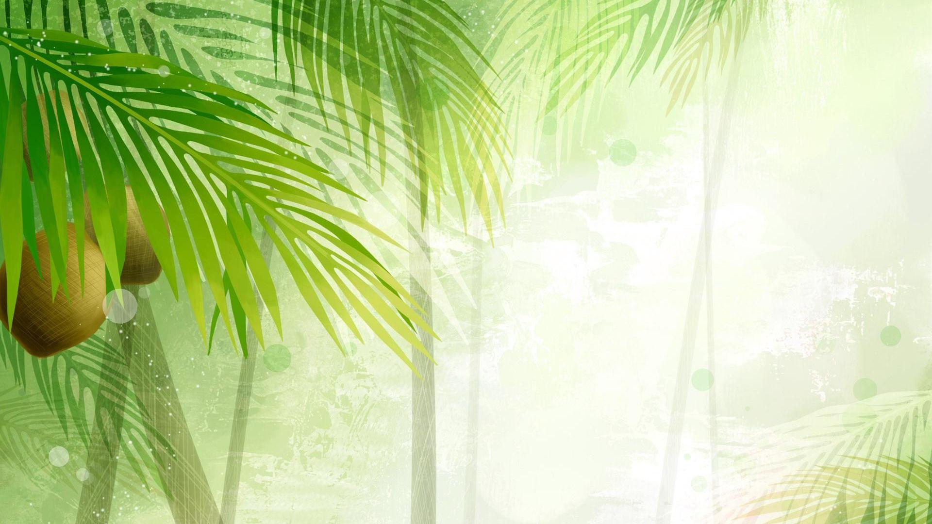 coconut tree wallpaper hd,green,tree,leaf,vegetation,palm tree