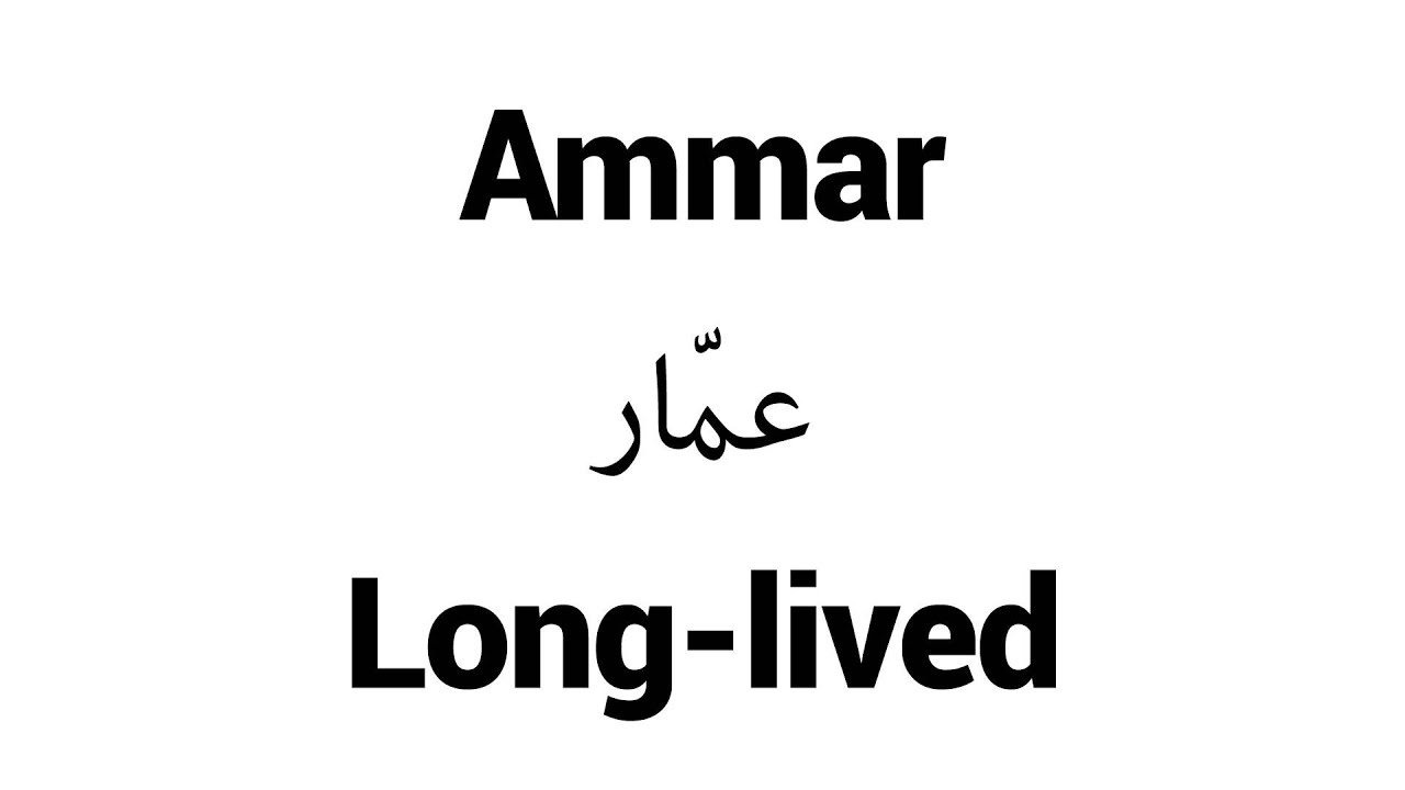 fond d'écran nom ammar,texte,police de caractère,ligne,graphique,noir et blanc