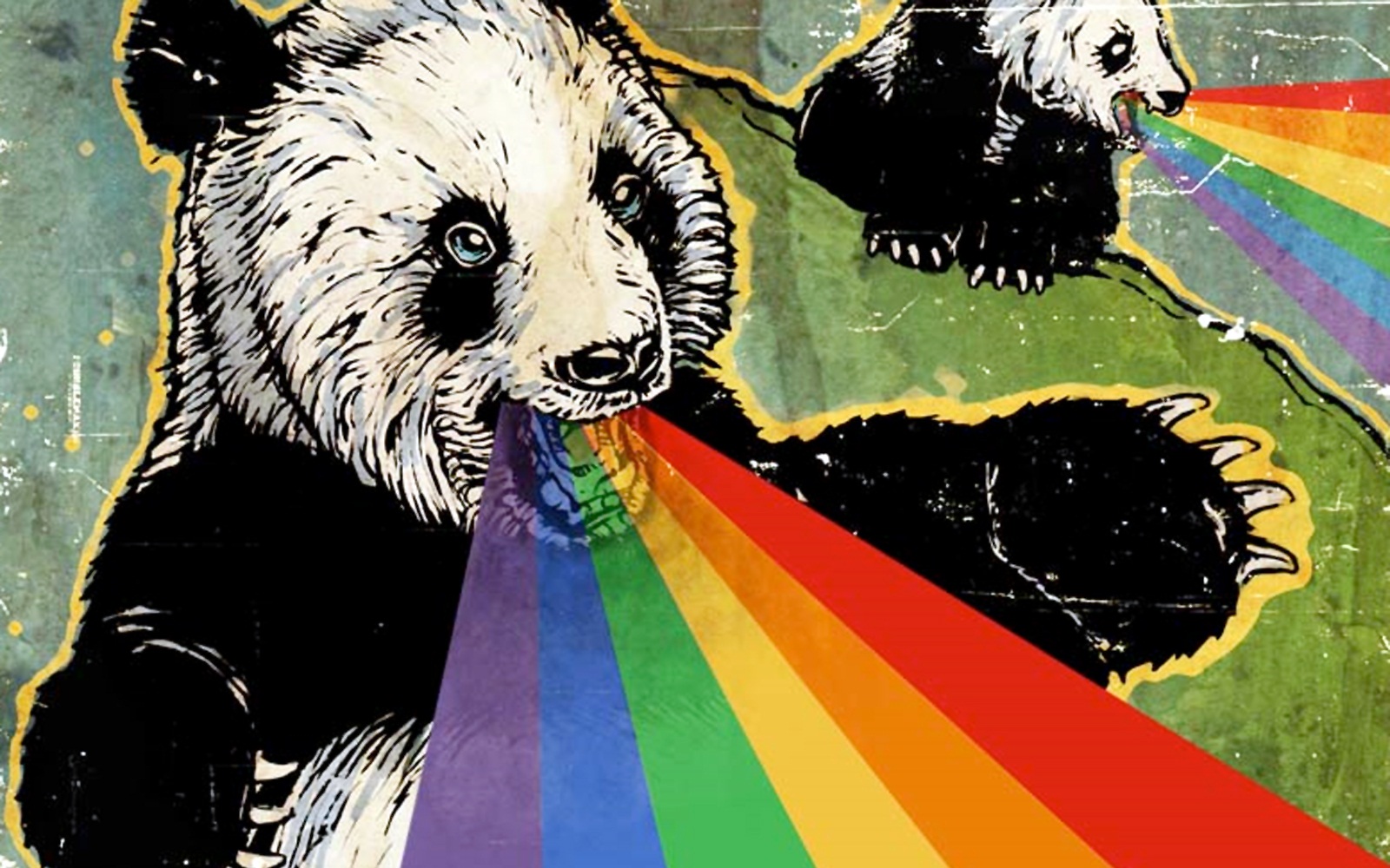 fondo de pantalla más loco,oso,oso grizzly,ilustración,arte,animal terrestre