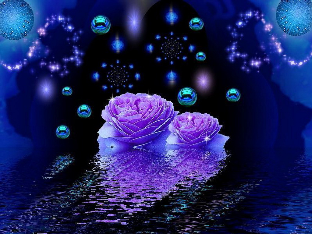 purple rose wallpaper hd,purple,violet,blue,rose,animation