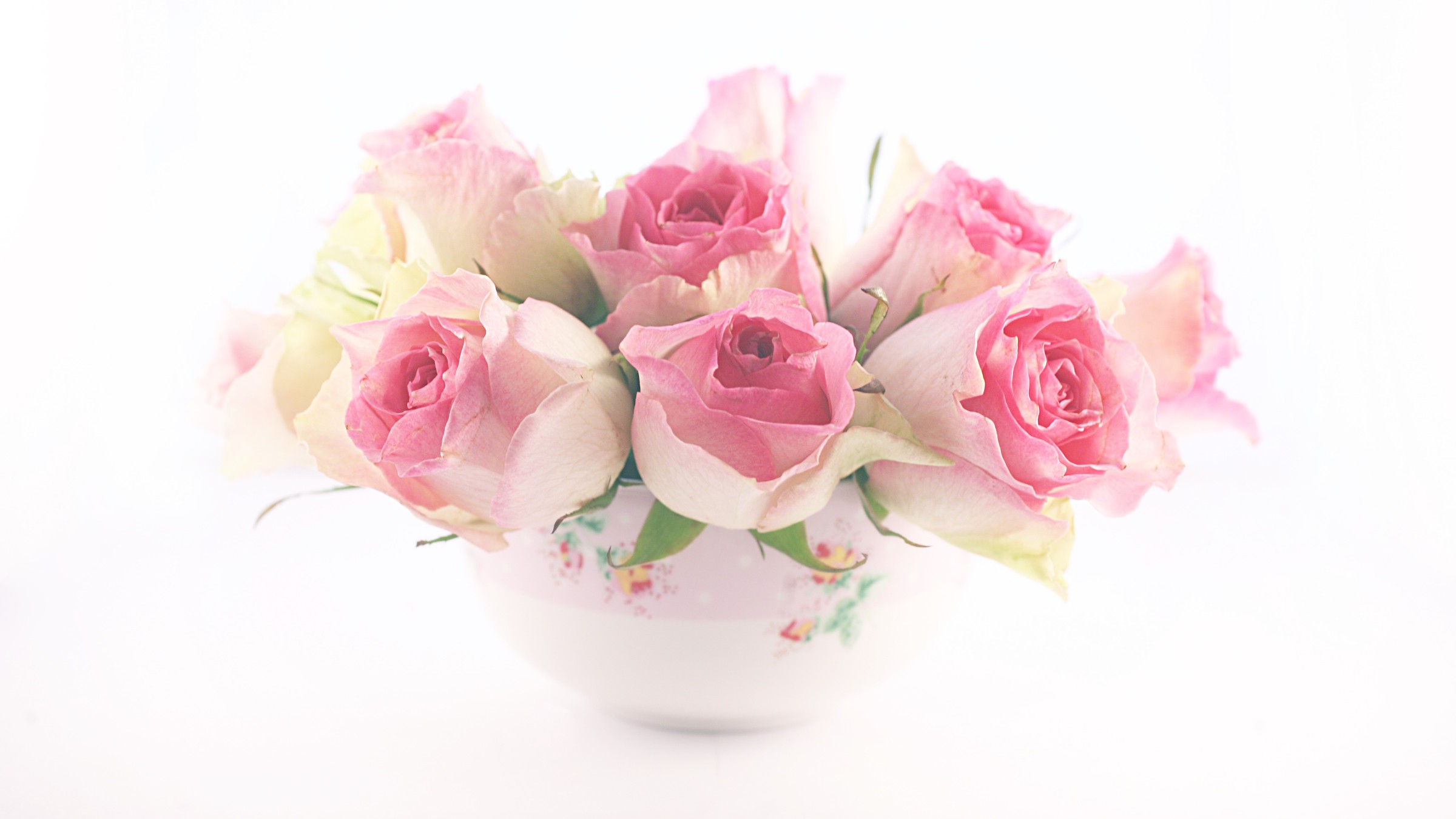 pastel roses wallpaper,pink,flower,garden roses,rose,white