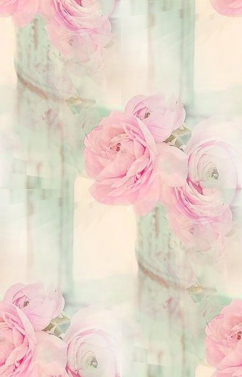 pastel roses wallpaper,pink,garden roses,rose,flower,rose family