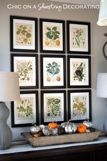 framed wallpaper art,room,leaf,wall,interior design,orange