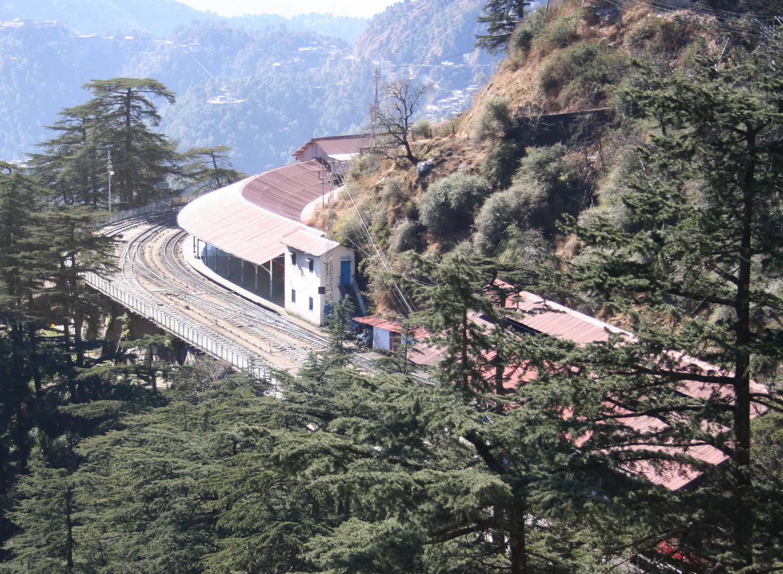 fond d'écran shimla,station de montagne,montagne,village de montagne,maison,arbre