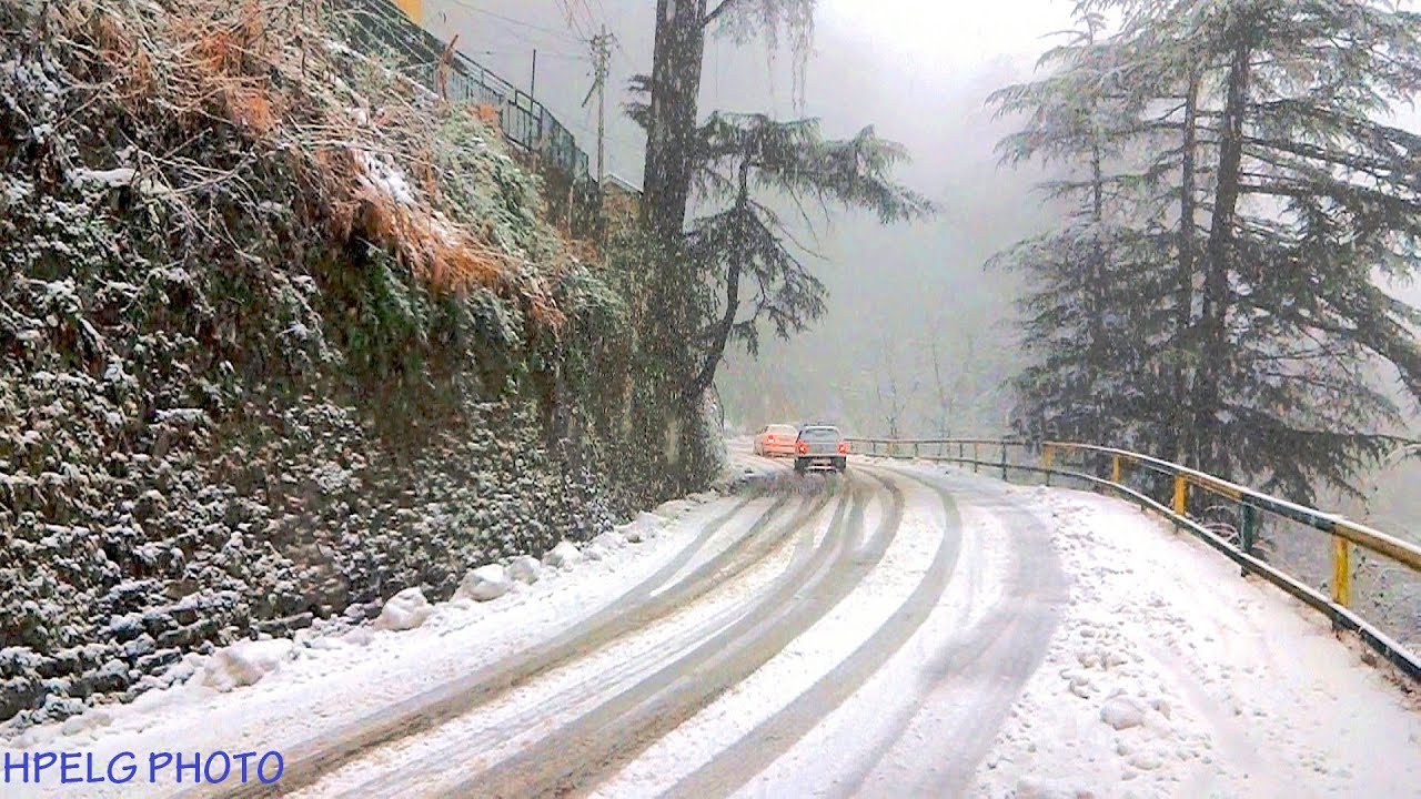 papel pintado shimla,nieve,invierno,congelación,la carretera,árbol