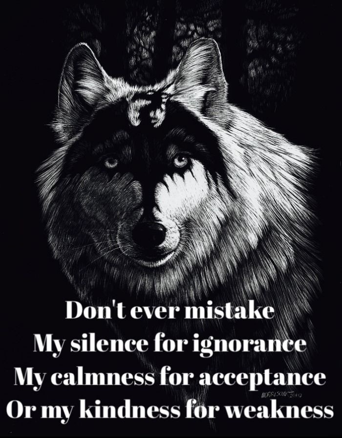mistake wallpaper,canidae,text,dog,photo caption,carnivore