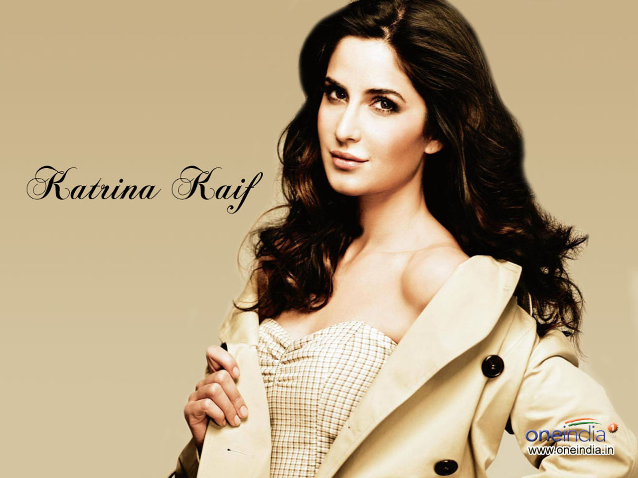 katrina kaif hd live wallpaper descargar,cabello,modelo,belleza,labio,peinado