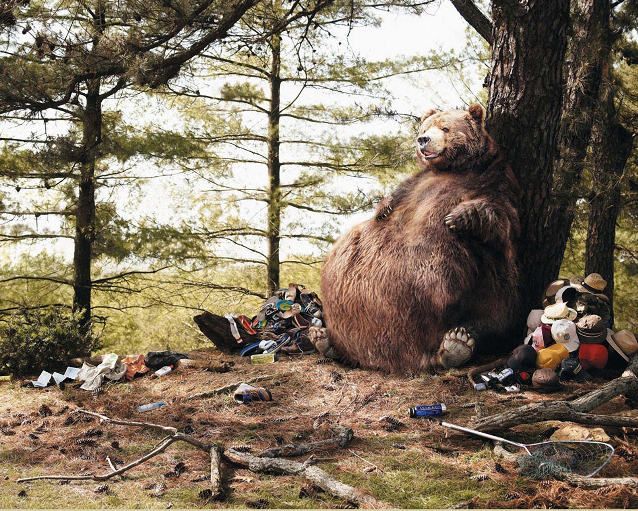 fondo de pantalla aficionado,oso café,oso grizzly,árbol,oso,fauna silvestre