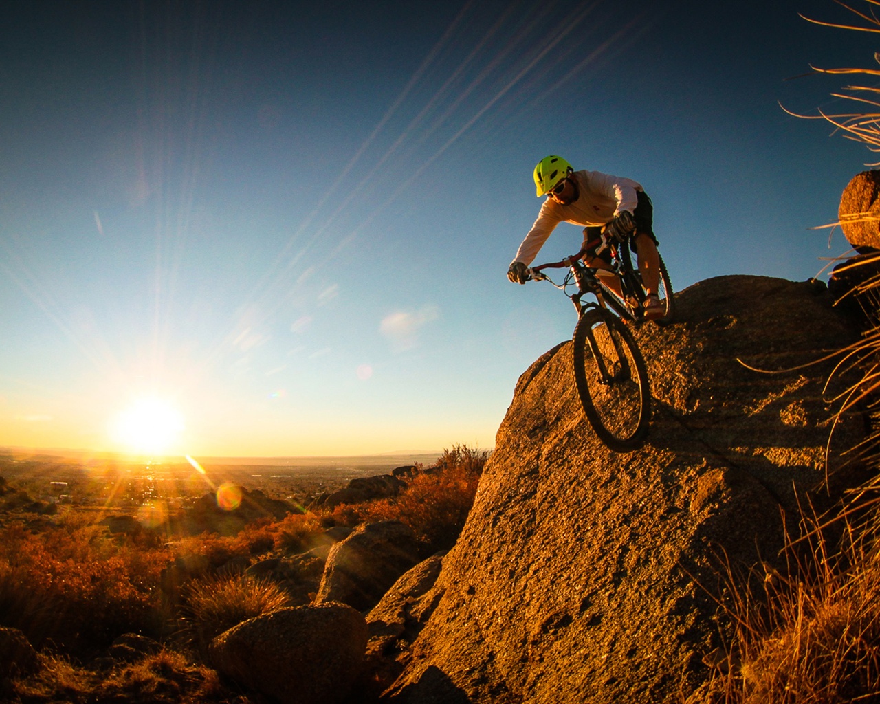 fond wallpaper,bicycle,mountain biking,cycling,mountain bike,cycle sport