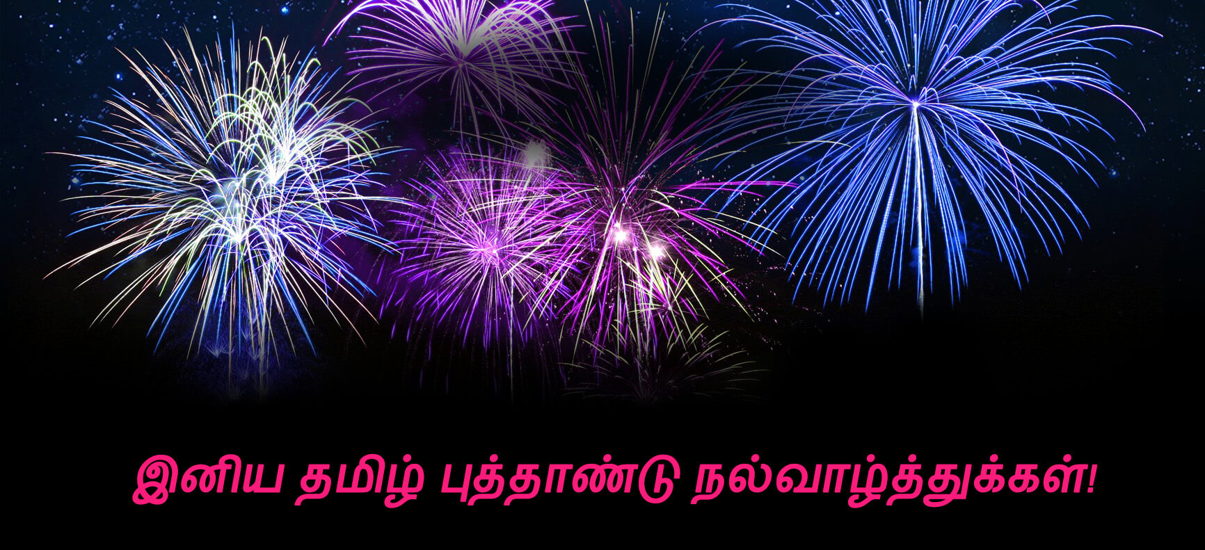 fond d'écran du nouvel an tamoul,feux d'artifice,le jour de l'an,nouvel an,minuit,violet