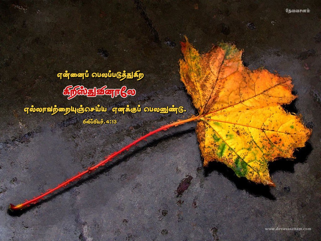 tamil new year wallpaper,leaf,maple leaf,tree,black maple,plant
