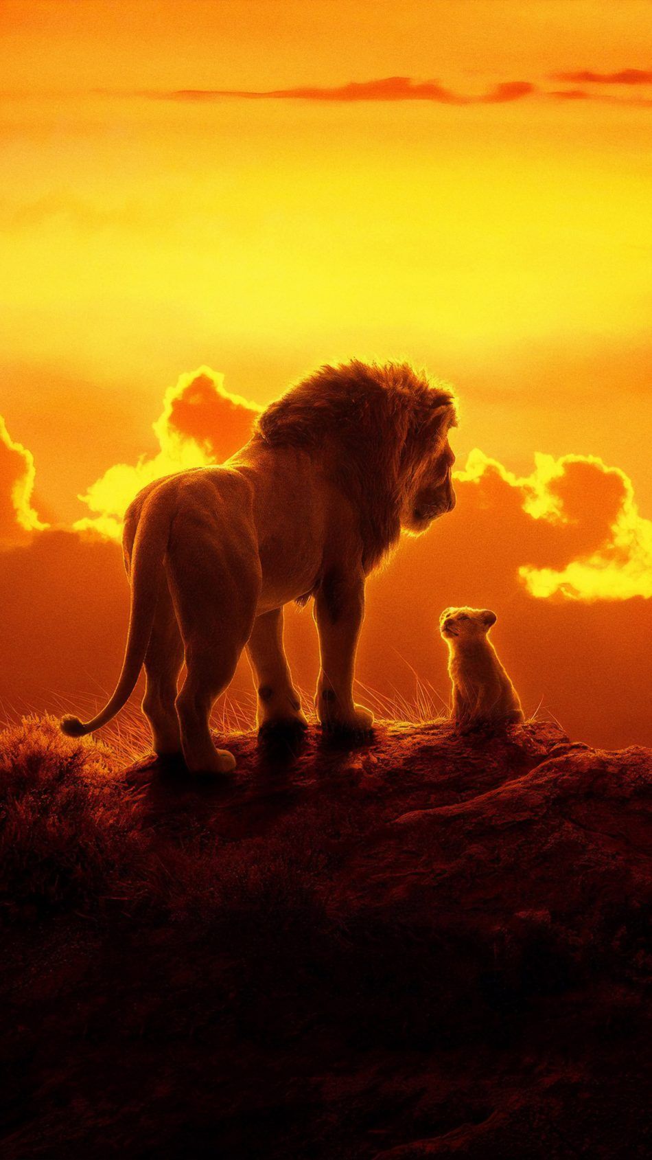 golden lion wallpaper,lion,wildlife,felidae,sky,big cats