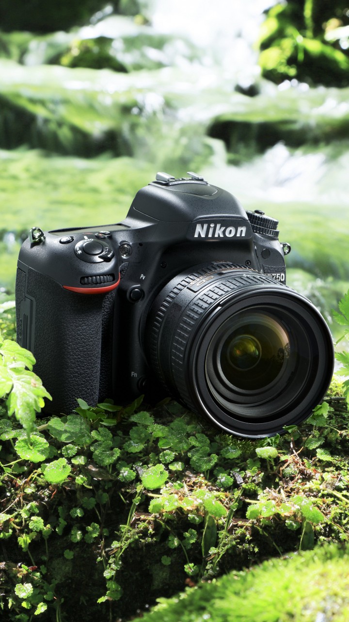 dslr photo wallpaper,camera,cameras & optics,digital camera,camera lens,camera accessory