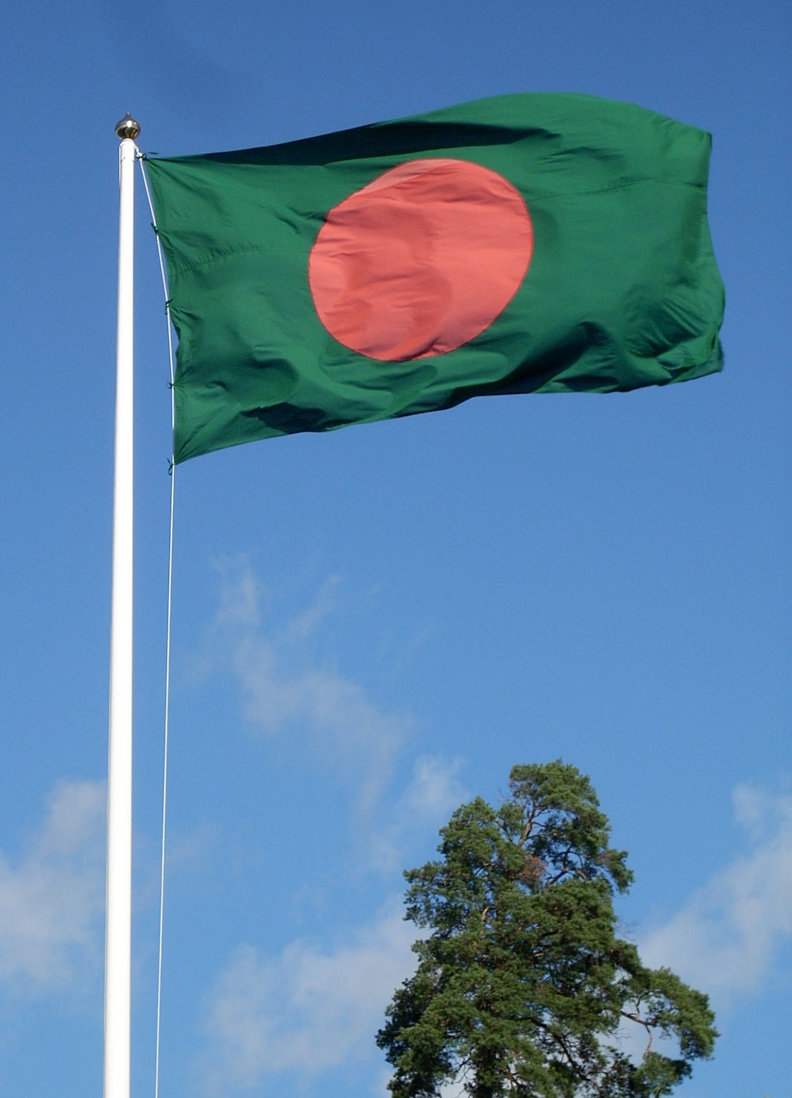 bangladesh national flag wallpapers,flag,pole,sky,banner