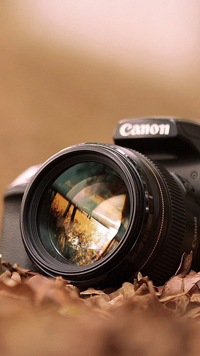 dslr photo wallpaper,cameras & optics,camera accessory,lens,photograph,camera lens
