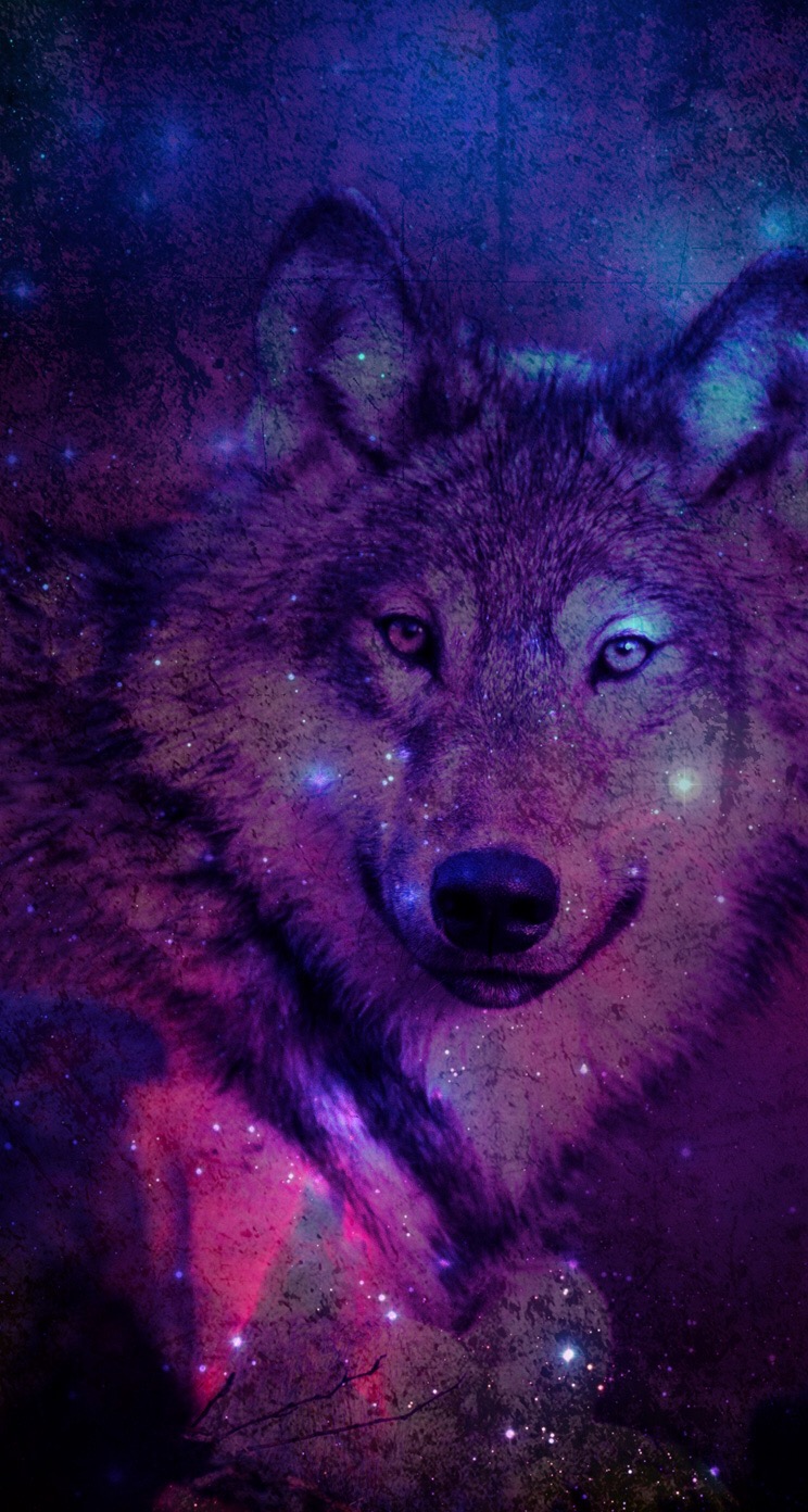 壁紙que se mueven,狼,紫の,レッドウルフ,犬,野生動物
