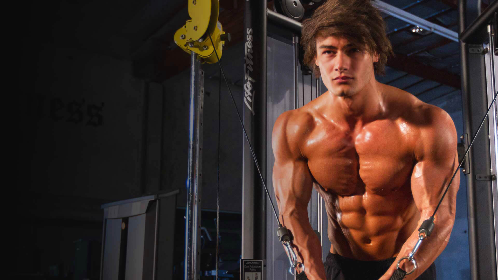 jeff seid fonds d'écran hd,bodybuilder,torse nu,la musculation,forme physique,abdomen