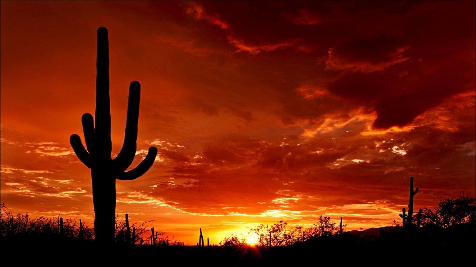 ovest sfondo hd,cielo,saguaro,tramonto,rosso,nube