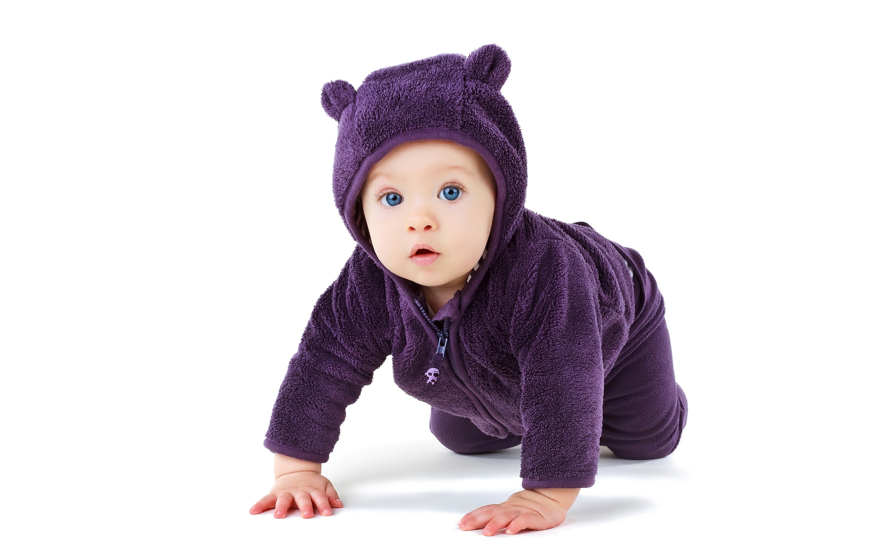 indian baby boy wallpapers for desktop,child,purple,violet,crawling,nose