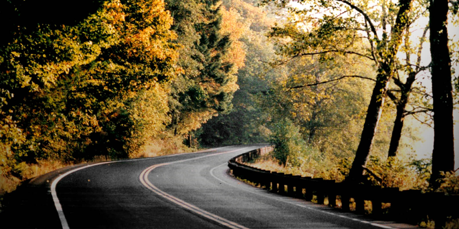 wallpaper jalan raya,natural landscape,tree,nature,road,asphalt