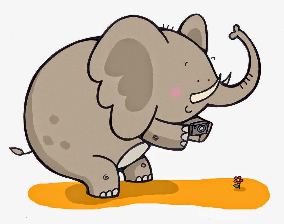 sfondi burung2 bergerak,elefante,cartone animato,elefanti e mammut,elefante indiano,clipart